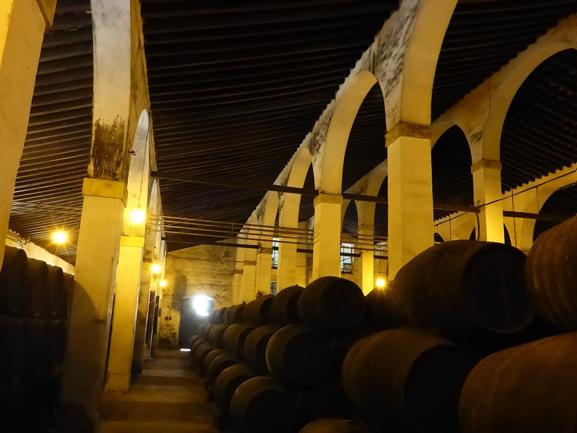 Botas de vino bajo los arcos de Bodegas Fundador