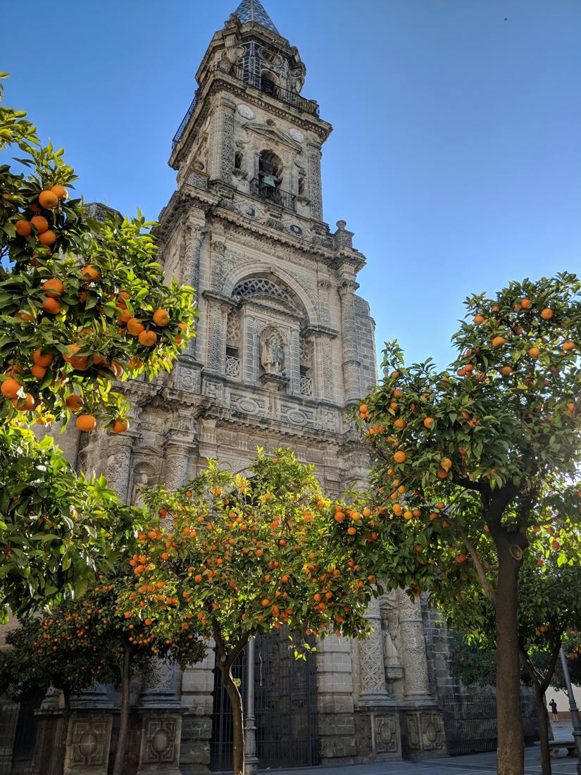 Iglesia de piedra entre naranjos en la calle Santa Cecilia